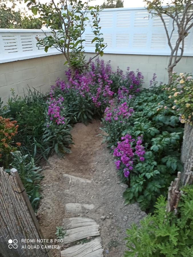 El Rincon De Triana Διαμέρισμα Αλμερία Εξωτερικό φωτογραφία